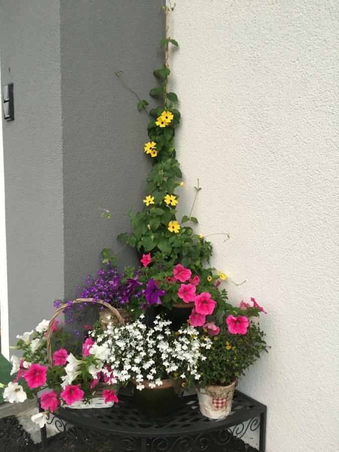 Kitz Juwel Apartment Hollersbach im Pinzgau Bagian luar foto